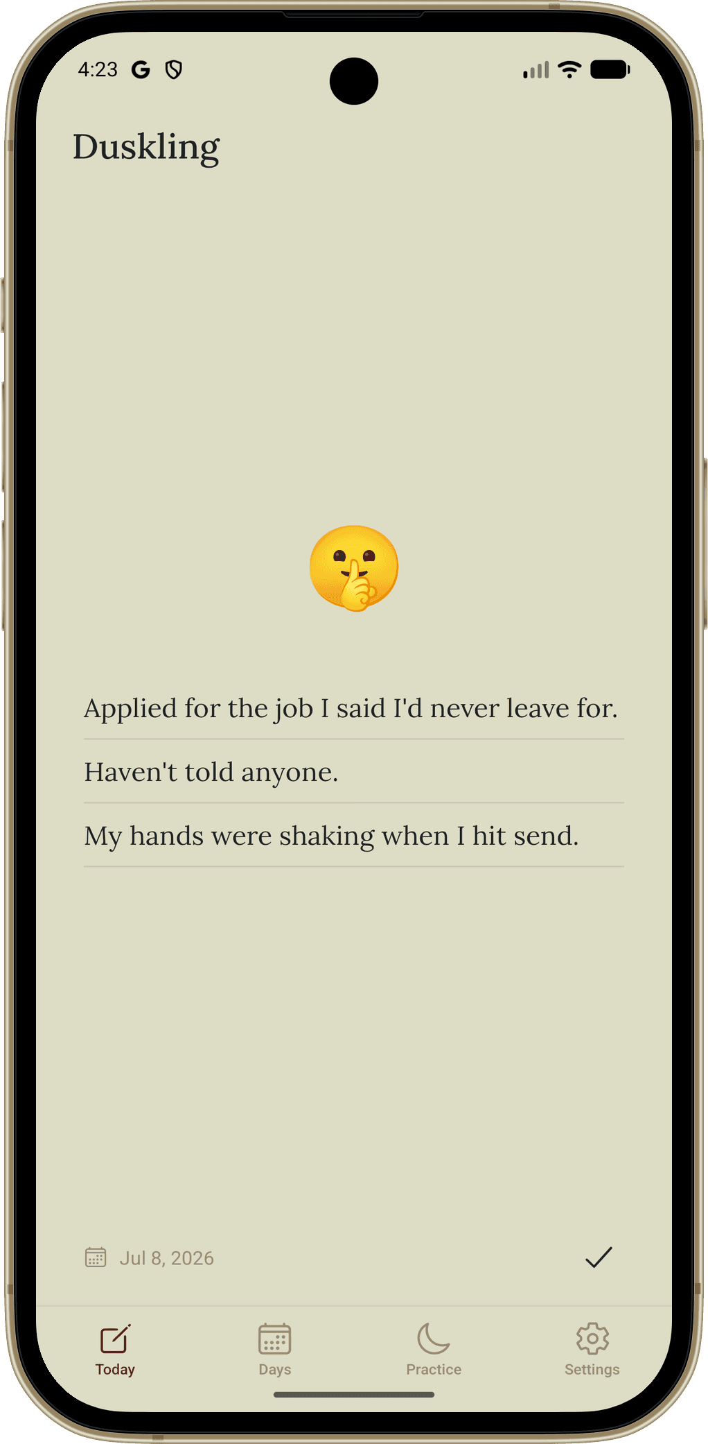 Duskling daily three lines entry screen in iPhone
